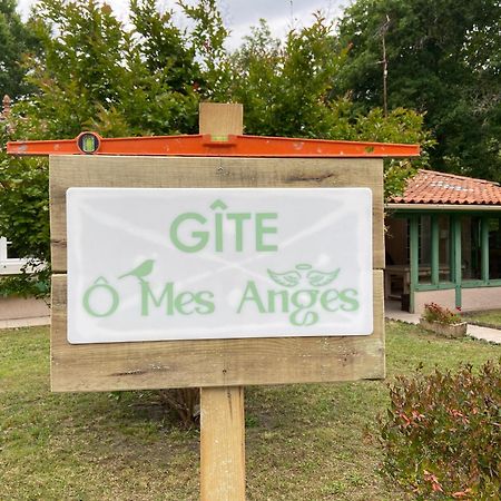 סן-ז'וליין-אן-בורן Villa 8 Personnes O Mes Anges מראה חיצוני תמונה